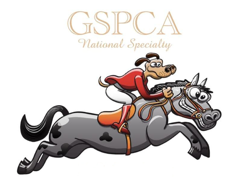 NSS Logo GSP Jumping Horse