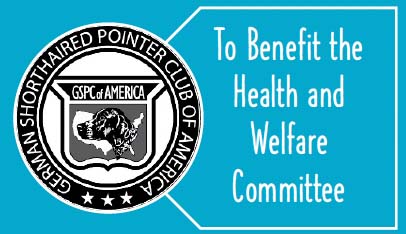 Lessons Benefit Health & Welfare Committee