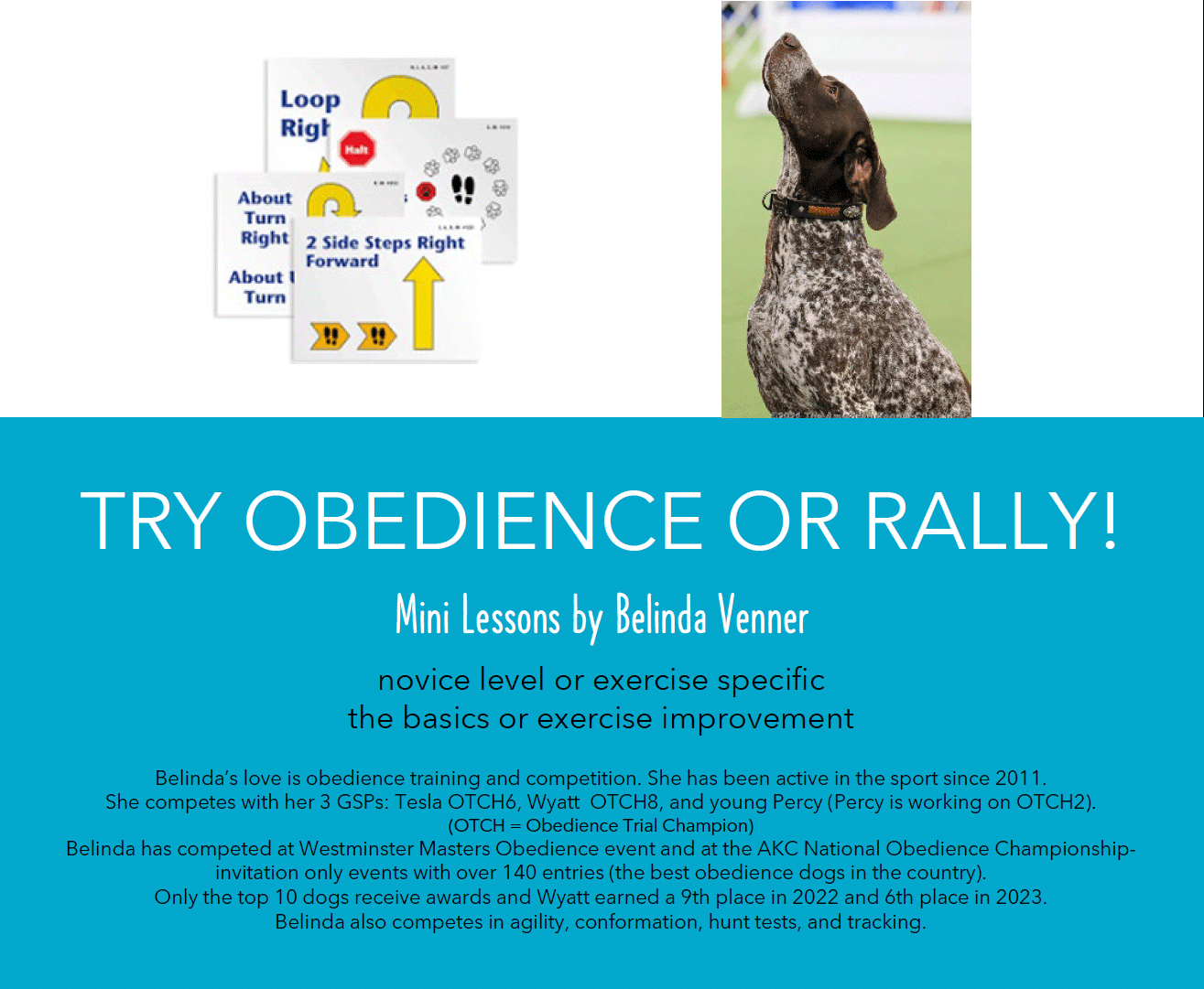 Sign Up For Mini Lessons - Obedience and Rally