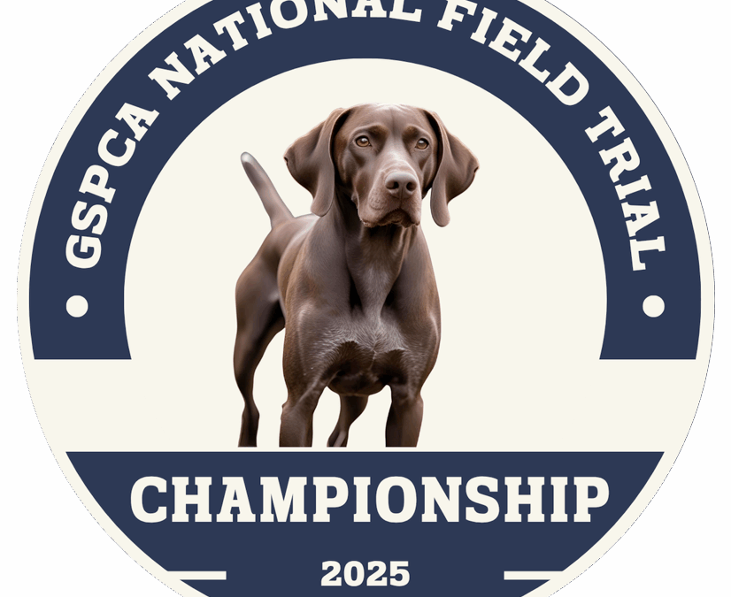 GSPCA National Field Championships